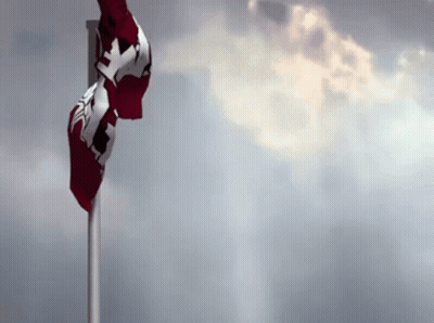 Canadian Flag Waving In Wind GIF