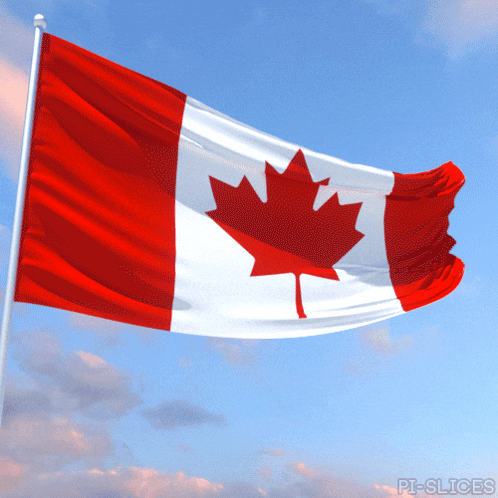 Canadian Flag With Maple Leaf Flying In Wind GIF