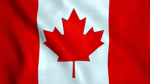 Canadian Flag With Red Maple Leaf GIF