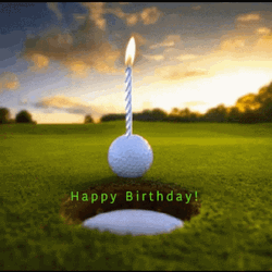 Candle Above Pickleball Meme GIF