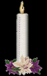 Candle Animation Flowers GIF