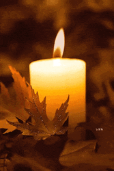 Candle Burning Christmas GIF