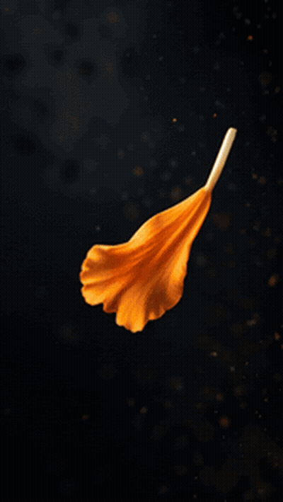Candle Surrounded By Orange Flowers GIF