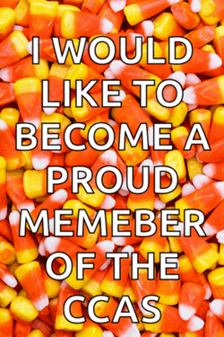 Candy Corn Proud Member Of CCAS GIF