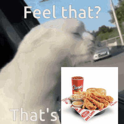 Cane's Chicken Sandwich And Cane's Soda GIF
