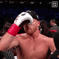 Canelo Álvarez Rise To Top GIF
