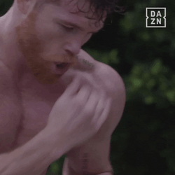 Canelo Álvarez's Speed Lightning Fast GIF