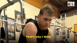 Canelo Álvarez The Best Mexican Boxer GIF