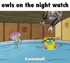 Cannonball Spongebob Night Watch GIF
