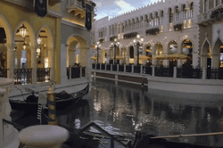 Canonita Las Vegas GIF