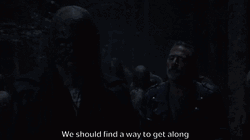 Cant We All Just Get Along Walking Dead GIF