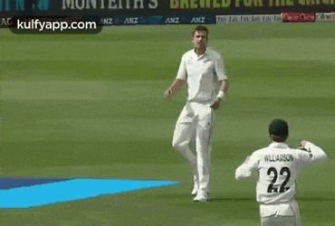 Cap Finishes Off It In Its Style.Gif GIF