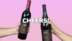 Capo Cagna Red Wine Toast GIF