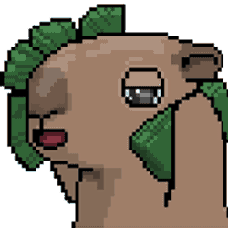 Cappies The Cappies GIF
