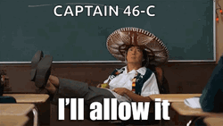 Captain I'll Allow It GIF