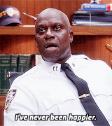 Captain Ray Holt The Office Sarcasm  GIF