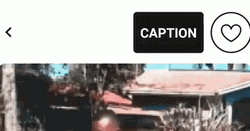 Caption Button Funny Sexy Pose GIF