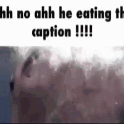 Caption Fish Eating Meme GIF