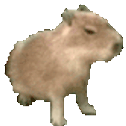 Capybara Animal Sticker GIF
