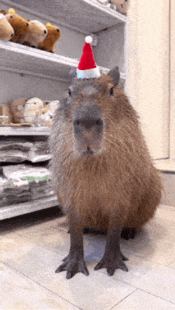 Capybara Christmas GIF