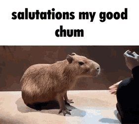 Capybara Salutations GIF