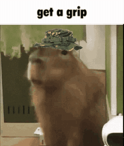 Capybara Wearing Hat Saying Get A Grip GIF