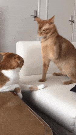 Car Attack GIF