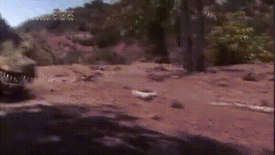 Car Driving Dirt Road Next To Forest GIF