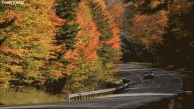 Car Driving Down Hampshire's Amagus Highway GIF