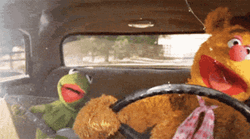 Car Driving The Muppets GIF