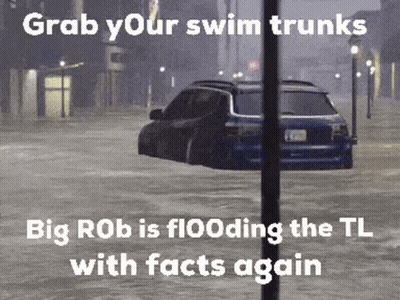 Car Floating Flooded Street Grab Your Swim Trunks GIF