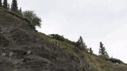 Car Flying From A Hill GIF