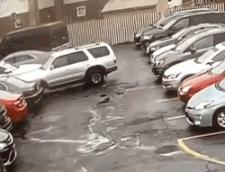 Car Parking Crash GIF
