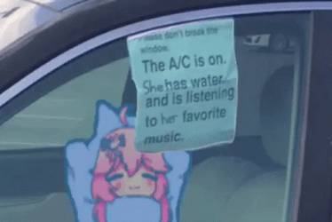 Car Pet Inside Anime GIF