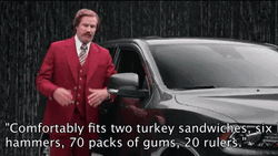 Car Salesman Ranting GIF