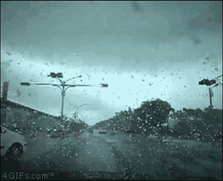 Car Taken By Hurricane GIF