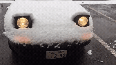 Car With License Plate 12-99 GIF