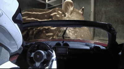 Car With Sign Saying Don't Panic GIF