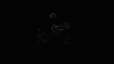 Carbon Fin Logo With Blue Whale GIF