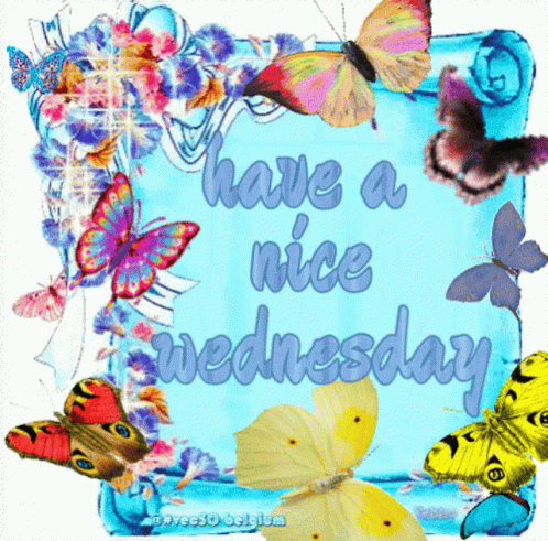 Card Saying Have A Nice Wednesday With Butterflies GIF