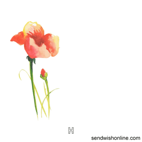Card Saying Have A Wonderful Anniversary With Flower GIF