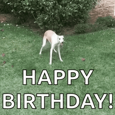 Cardboard Box Saying Jumbo GIF
