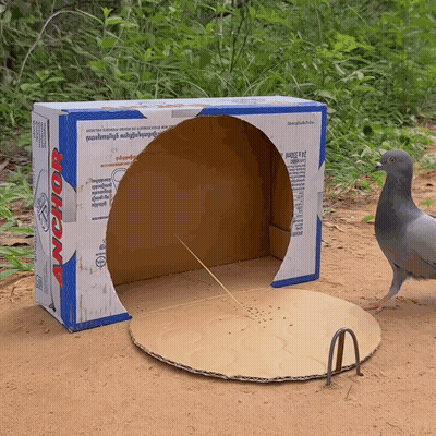 Cardboard Box With Anchor GIF