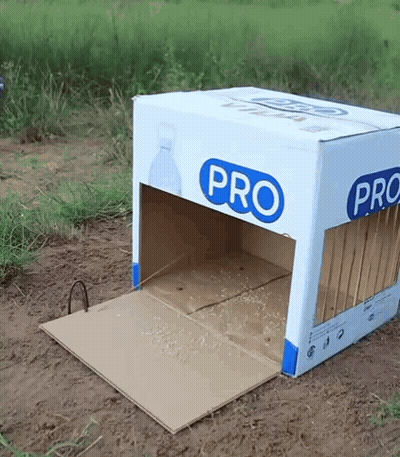 Cardboard Box With Pro Written On Side GIF