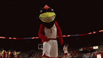 Cardinal Mascot On Basketball Court GIF