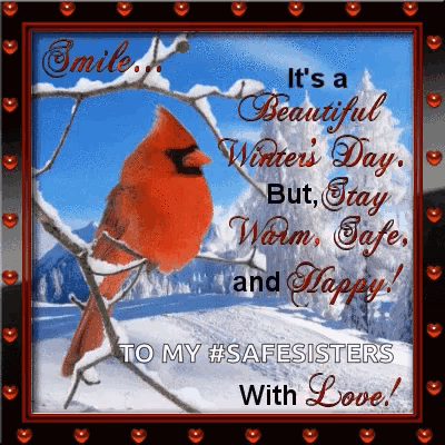 Cardinal On Snowy Branch With It's A Beautiful Winter's Day Quote GIF