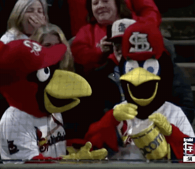 Cardinals Mascot Holding Drum GIF