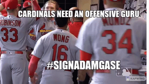 Cardinals Need An Offensive Guru #Signadamgase Written On A Picture Of Baseball Players GIF