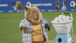 Carl Bear Worried Shooting Ball Machine GIF