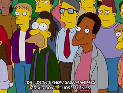 Carl Carlson Didn't Know Salamanders Could Do GIF